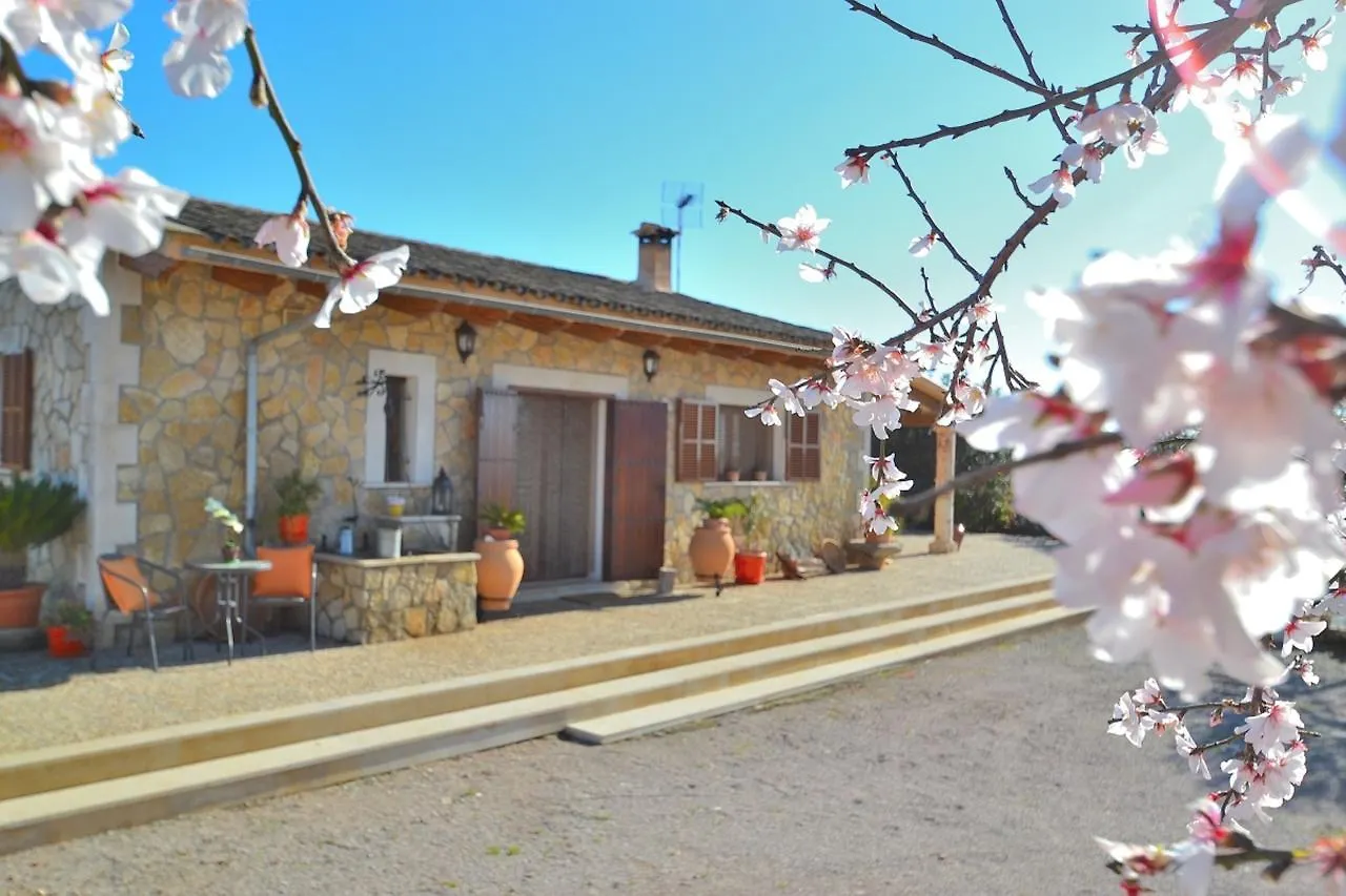 078 Finca Sa Rota Vt1953 By Mallorca Charme Ariany Holiday home